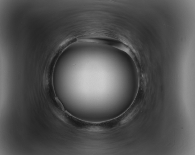 X0000084550203200703021513