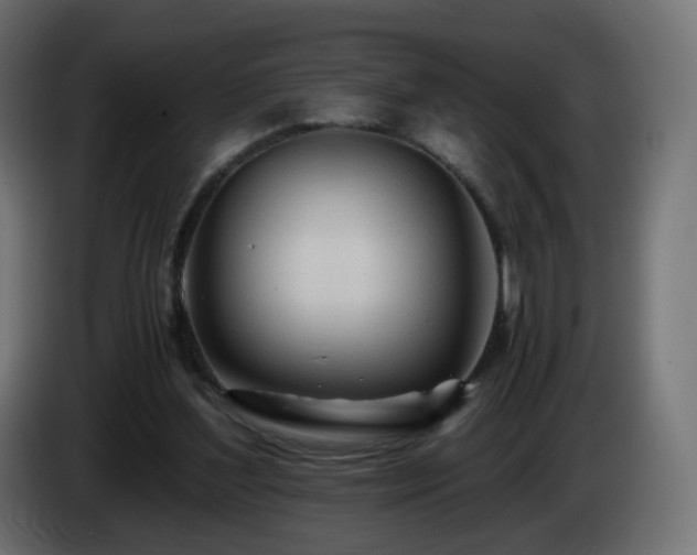 X0000084550204200703021513