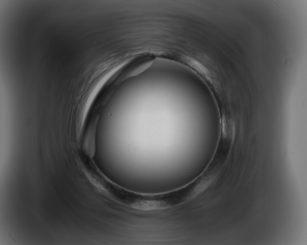 X0000084550205200703021513