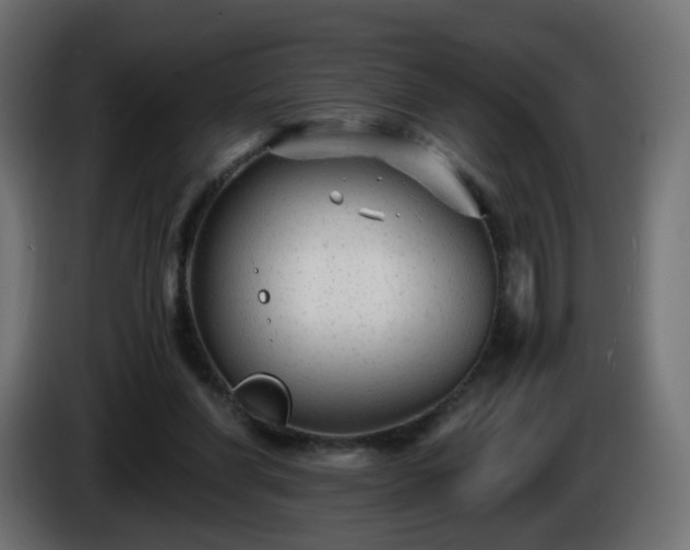 X0000084550206200703021513