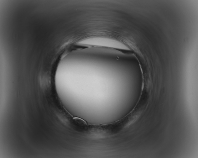 X0000084550207200703021513