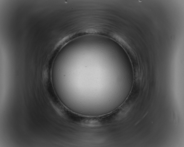 X0000084550208200703021513