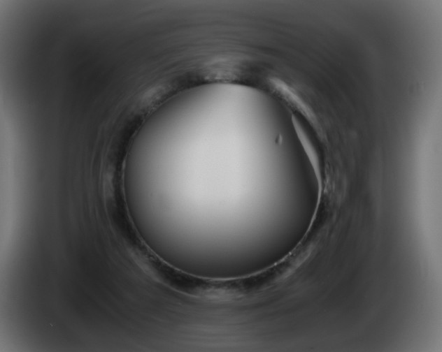 X0000084550209200703021513