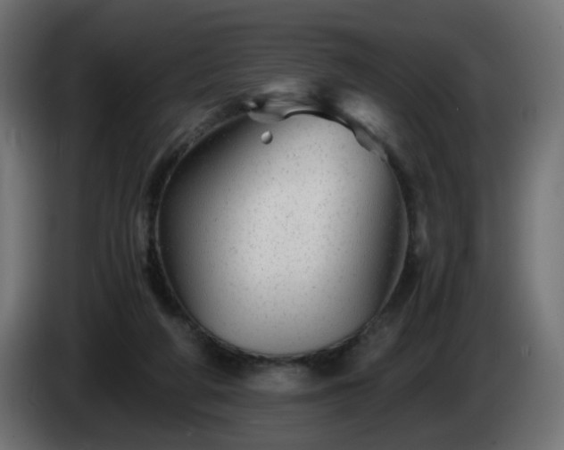 X0000084550210200703021513