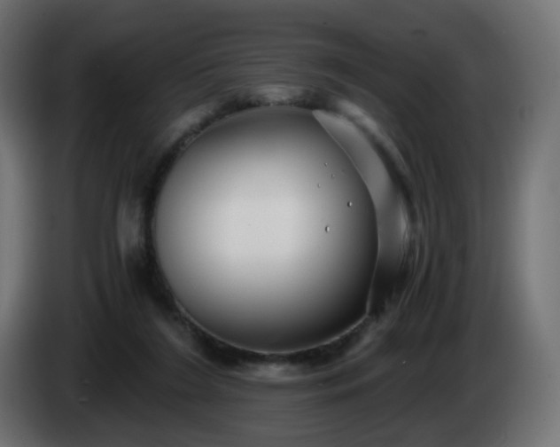 X0000084550212200703021513