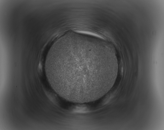 X0000084550214200703021513