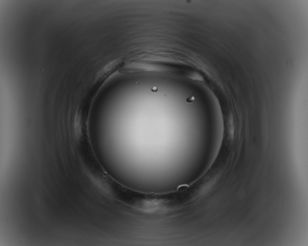 X0000084550216200703021513