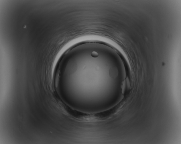 X0000084550219200703021513