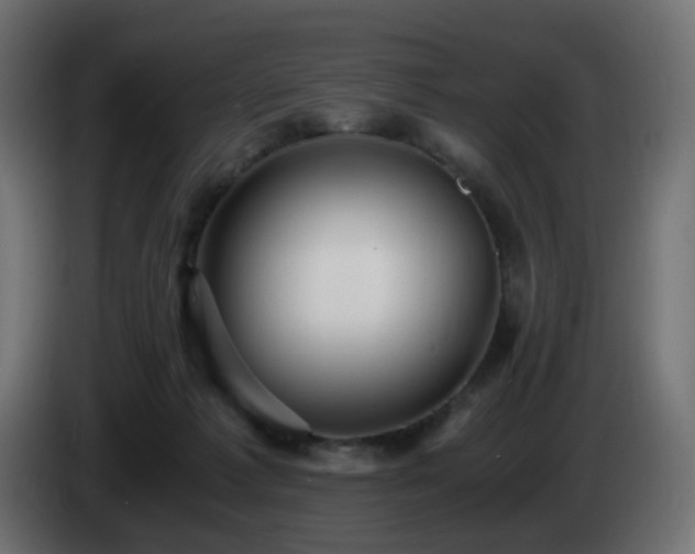 X0000084550221200703021513