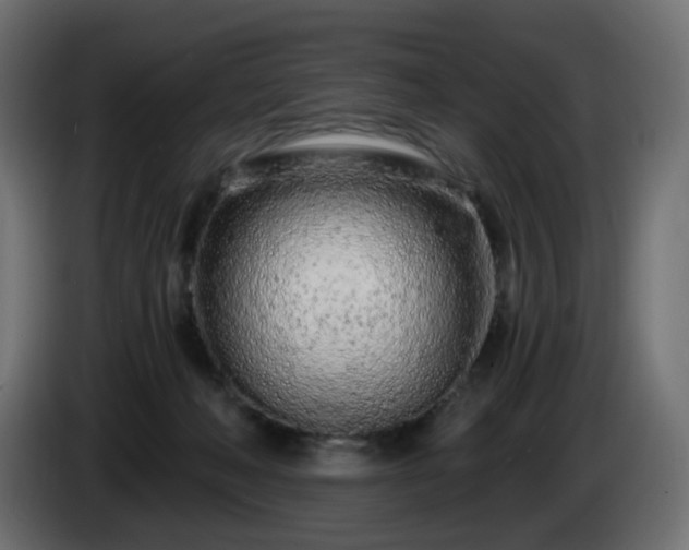 X0000084550222200703021513