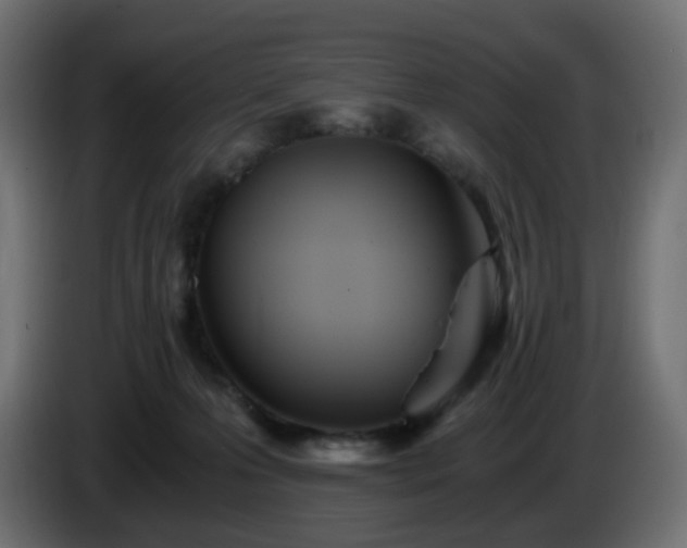 X0000084550223200703021513