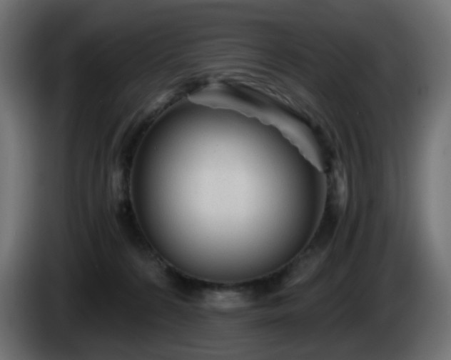 X0000084550224200703021513