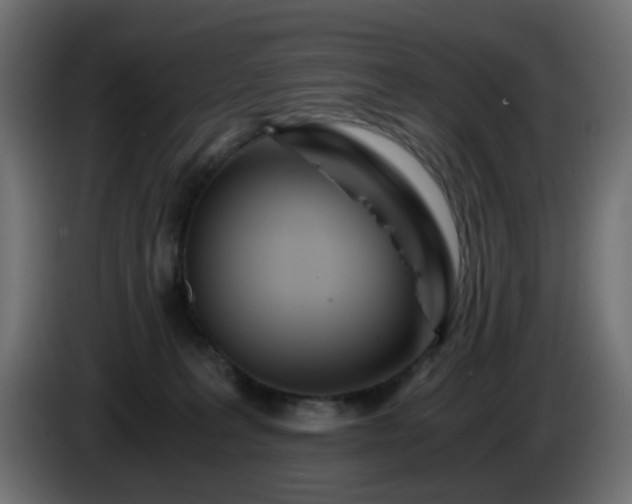 X0000084550227200703021513