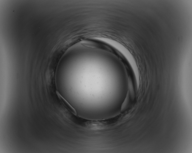 X0000084550229200703021513