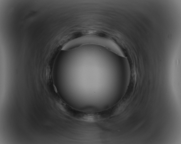 X0000084550231200703021513