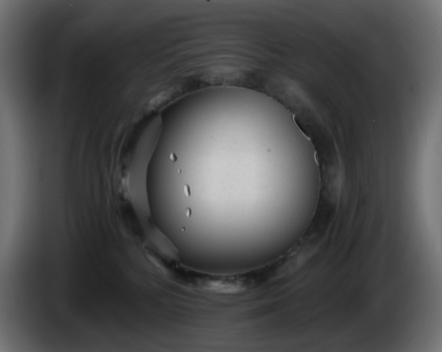 X0000084550232200703021513
