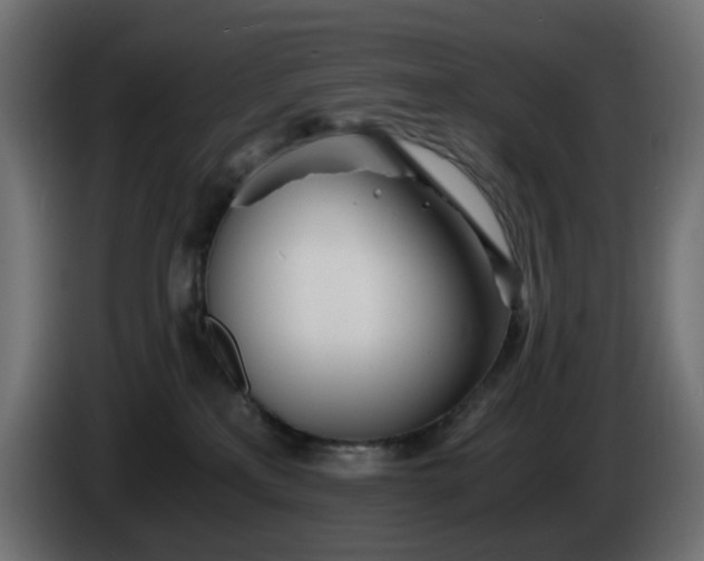 X0000084550233200703021513
