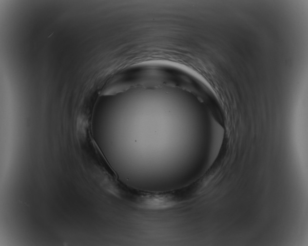 X0000084550235200703021513