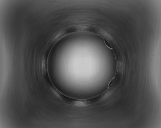 X0000084550238200703021513