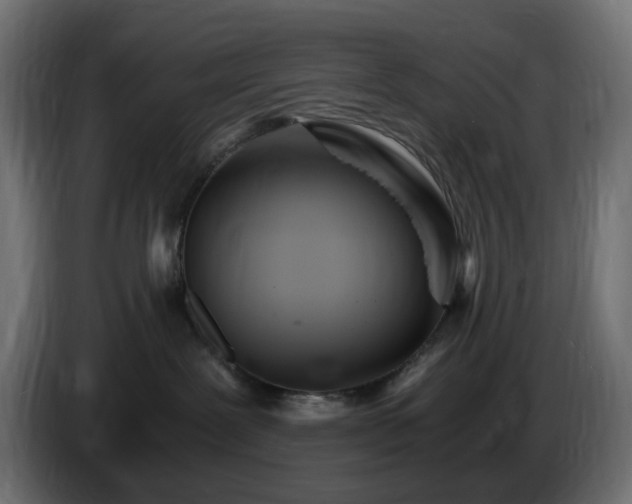 X0000084550239200703021513