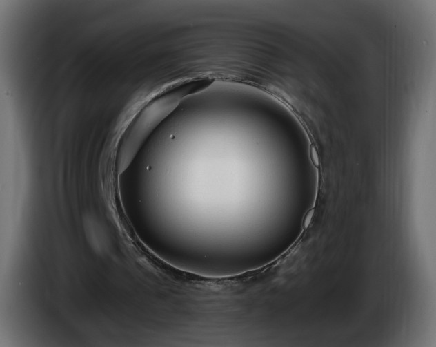 X0000084550241200703021512
