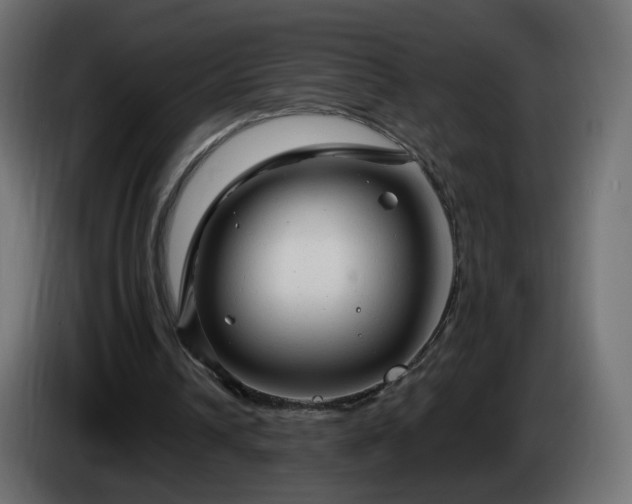 X0000084550242200703021512