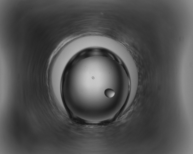 X0000084550244200703021512