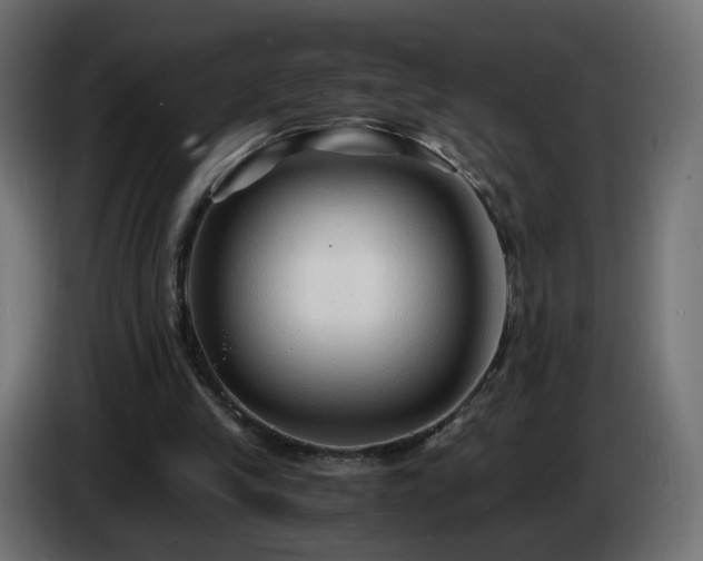 X0000084550245200703021512
