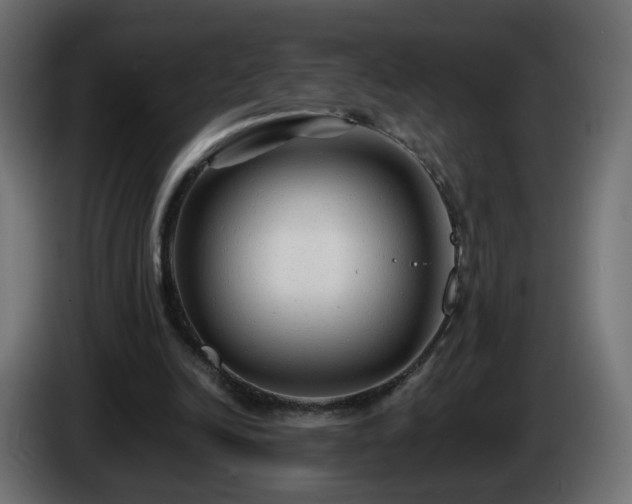 X0000084550246200703021512