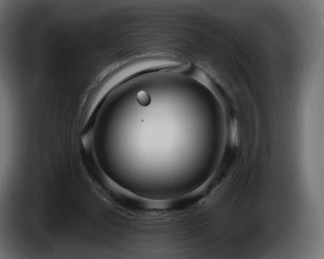X0000084550252200703021512