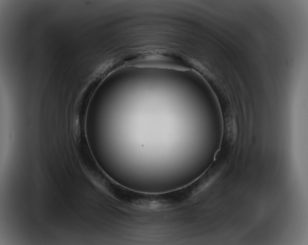 X0000084550254200703021512