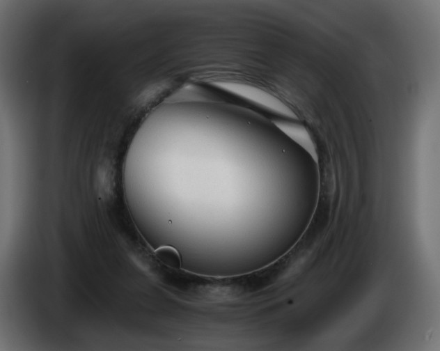 X0000084550255200703021512