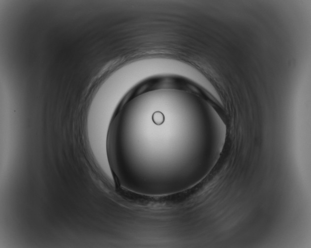 X0000084550256200703021512