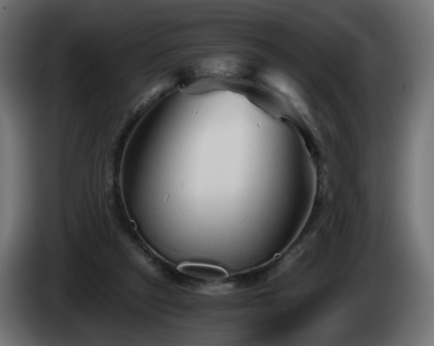 X0000084550257200703021512