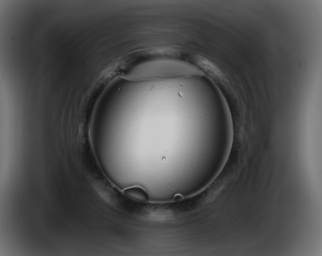X0000084550258200703021512