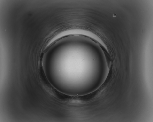 X0000084550262200703021512
