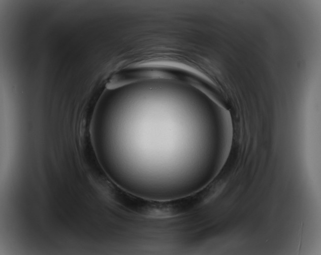 X0000084550263200703021512