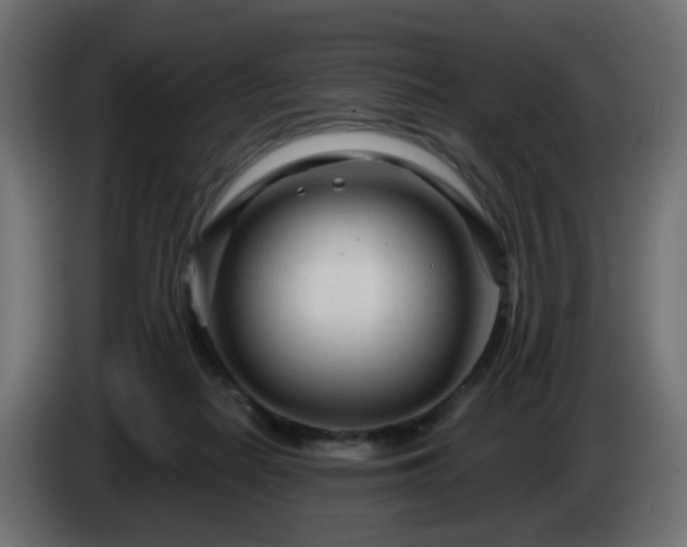 X0000084550266200703021512