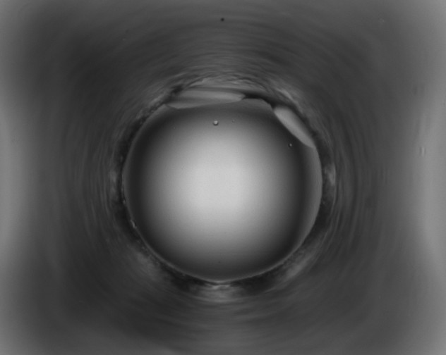 X0000084550269200703021512