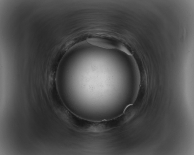 X0000084550271200703021512