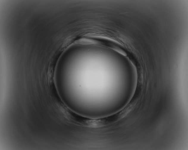 X0000084550273200703021512