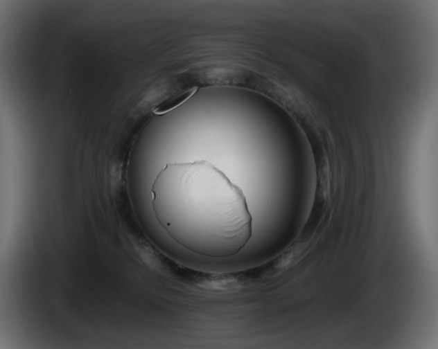 X0000084550278200703021512