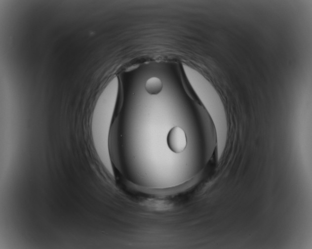X0000084550280200703021512