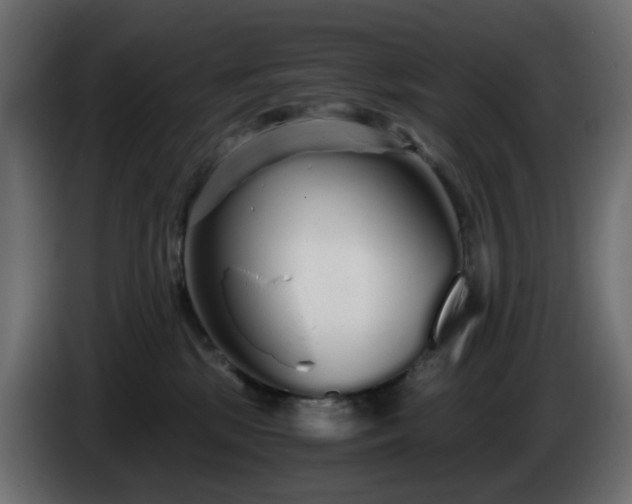 X0000084550281200703021513