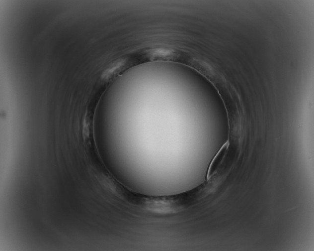 X0000084550282200703021513