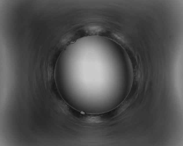 X0000084550283200703021513
