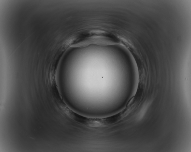 X0000084550285200703021513