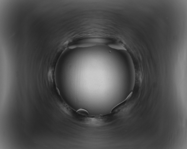 X0000084550286200703021513