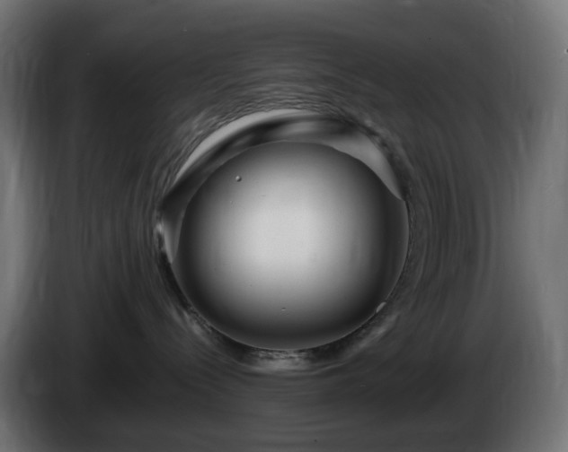 X0000084550288200703021513