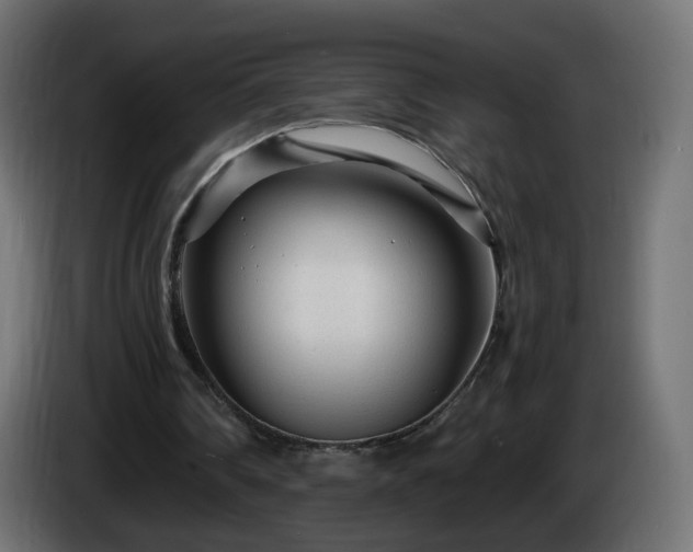 X0000084550290200703021512